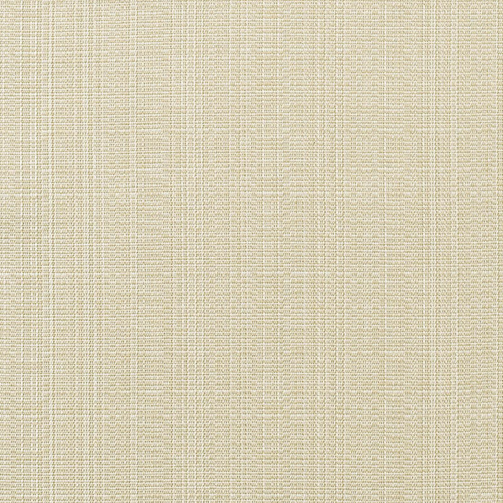 8322 Antique Beige Linen by Sunbrella Fabric Cushion Furniture Drapery Fabrics > Sunbrella Specialty Weaves 100% Acrylic USA or Imported n/a 54" - Fabric Carolina -