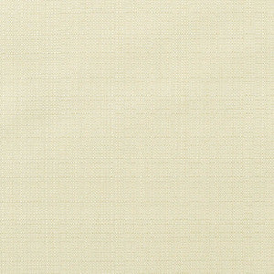 8353 Linen Canvas by Sunbrella Fabric