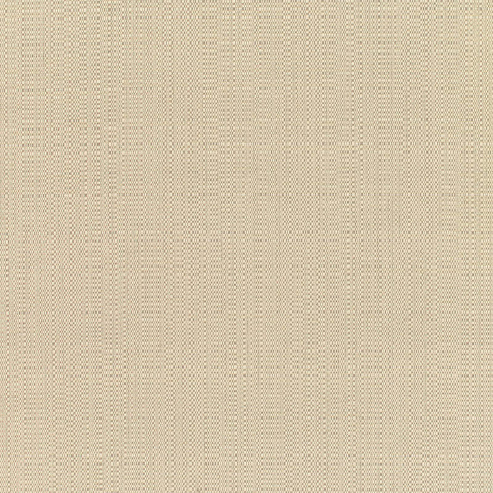 8300 Champagne Linen by Sunbrella Fabric Cushion Furniture Drapery Fabrics > Sunbrella Specialty Weaves 100% Acrylic USA or Imported n/a 54" - Fabric Carolina -