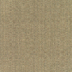 8317 Pampas Linen by Sunbrella Fabric