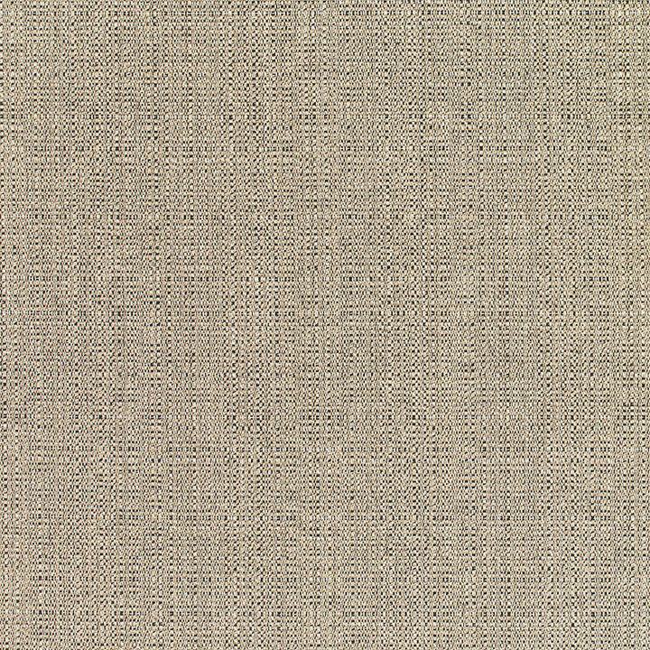 8319 Stone Linen by Sunbrella Fabric Cushion Furniture Drapery Fabrics > Sunbrella Specialty Weaves 100% Acrylic USA or Imported n/a 54" - Fabric Carolina -