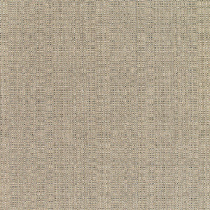 8319 Linen Stone by Sunbrella Fabric