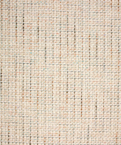Sophisticated 41011 by Barrow  Fabric