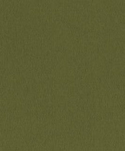 Santiago 22104 M10751 by Barrow Industries Fabric