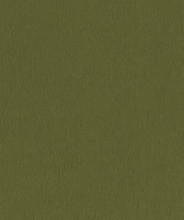 Santiago 22104 M10751 by Barrow Industries Designer Fabric 21C11 100% POLYESTER KNIT PILE FABRIC CHINA </p><p>Repeat: Horizontal: and Vertical: 54" Minimum - Swanky Fabrics -