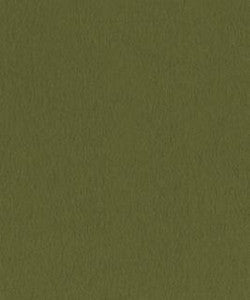 Santiago 22104 M10751 By Barrow Industries Fabric