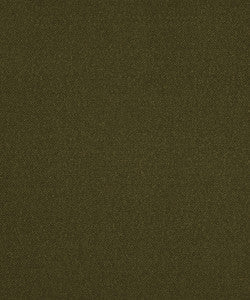 Genesis 22107 By Barrow Industries Fabric