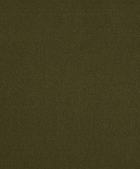 Genesis 02107 by Barrow  Designer Fabric Designer 100% Polyester China 33,000 Double Rubs </p><p>Repeat: Horizontal:  and Vertical:  56"  - Swanky Fabrics -