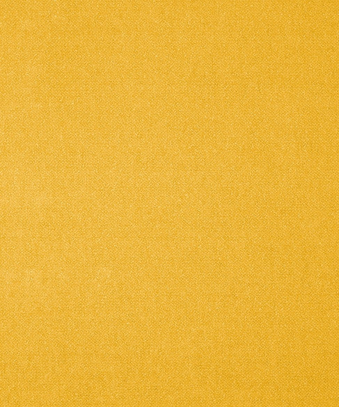 Genesis 01204 by Barrow  Designer Fabric Designer 100% Polyester China 33,000 Double Rubs </p><p>Repeat: Horizontal:  and Vertical:  56"  - Swanky Fabrics -