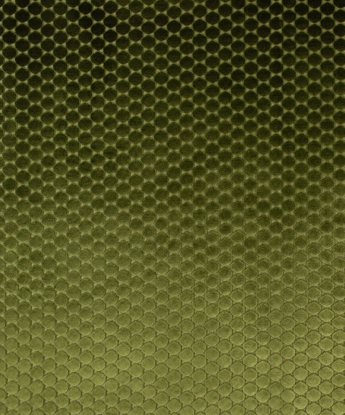 Ditty 12105 M11583 by Barrow Industries Designer Fabric