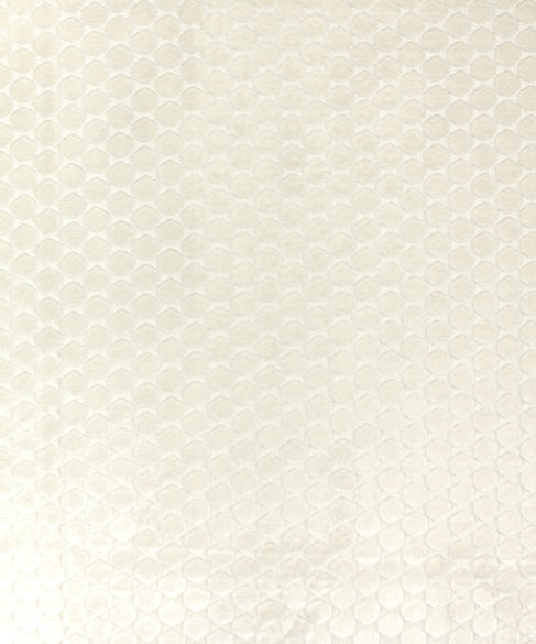 Ditty 31001 M11583 by Barrow Industries Designer Fabric