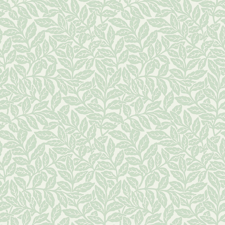 Ashe Light Green Trails Wallpaper by Crown CWV Covers about 56.4 square feet 20.5-in by 33-ft long roll Unpasted 20.9 - Fabric Carolina -