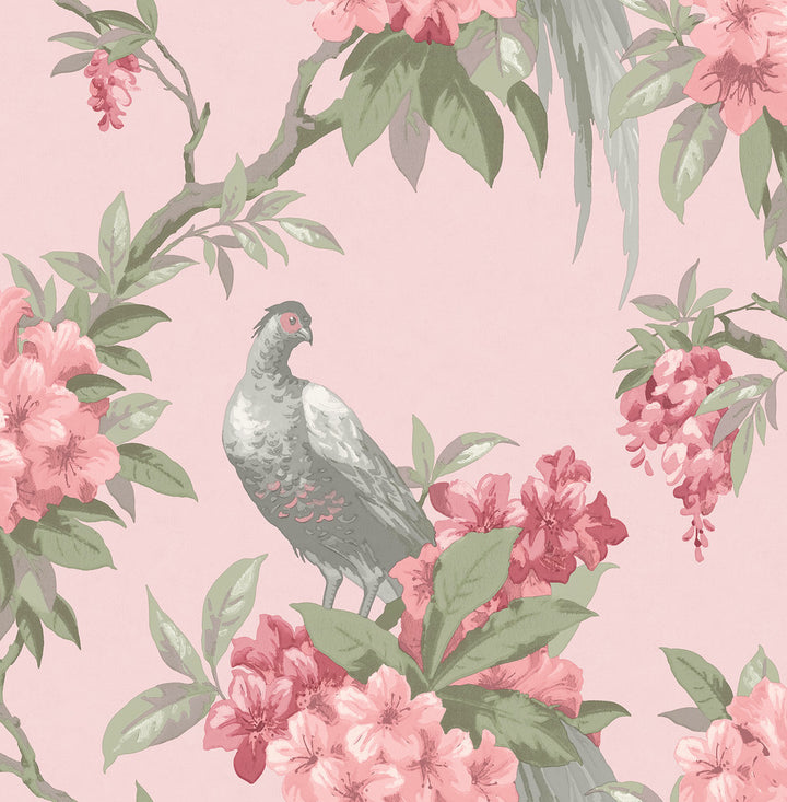 Golden Pink Floral Wallpaper by Brewster Archive Collection Covers about 56.4 square feet 20.5-in by 33-ft long roll Unpasted 21 - Fabric Carolina -