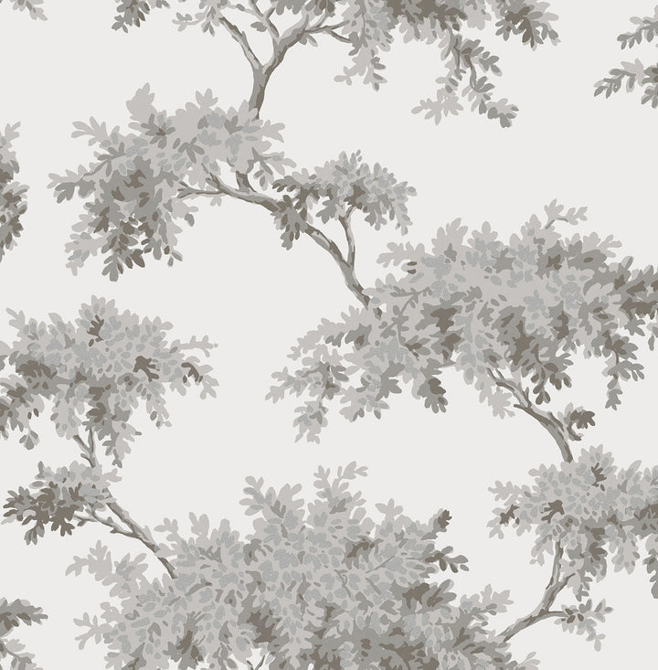 Ashdown Grey Tree Wallpaper by Brewster Archive Collection Covers about 56.4 square feet 20.5-in by 33-ft long roll Unpasted 21 - Fabric Carolina -