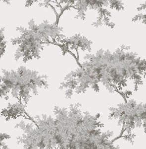 Ashdown Grey Tree Wallpaper by Brewster
