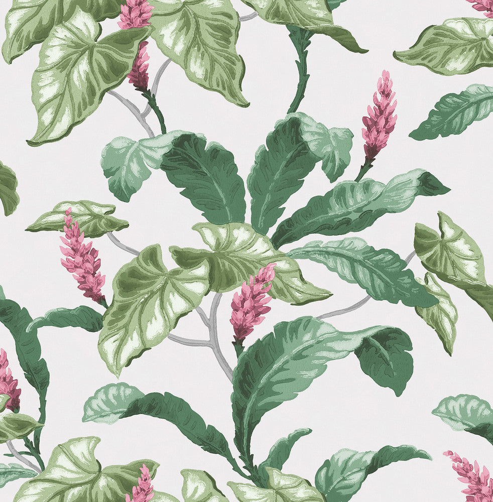 Meridian Parade Green Tropical Leaves Wallpaper by Brewster Archive Collection Covers about 56.4 square feet 20.5-in by 33-ft long roll Unpasted 21 - Fabric Carolina -