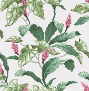 Meridian Parade Green Tropical Leaves Wallpaper by Brewster