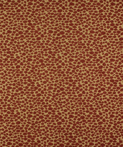 Sarabi 51615 By Barrow Industries Fabric