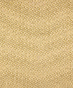 M8933 5838 by Barrow  Fabric