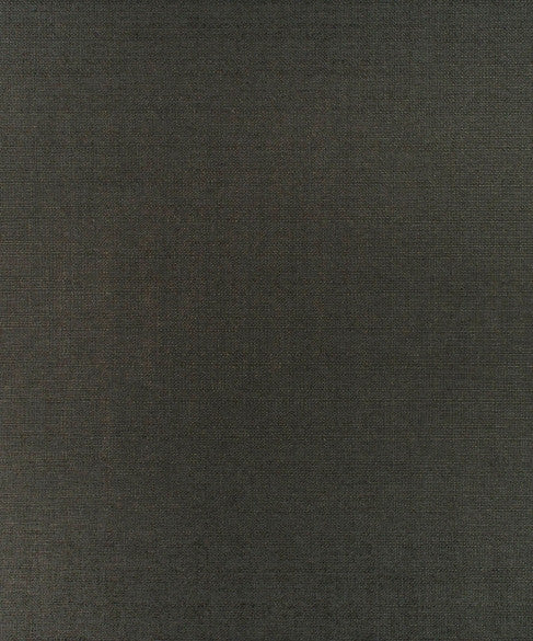 M9134 5840 by Barrow  Designer Fabric Barrow Gallery 52% Polyester Filament-Textured, 48% Polyester Filament Non-Textured China 30,000 Double Rubs </p><p>Repeat: Horizontal:  and Vertical:  58"  - Swanky Fabrics -