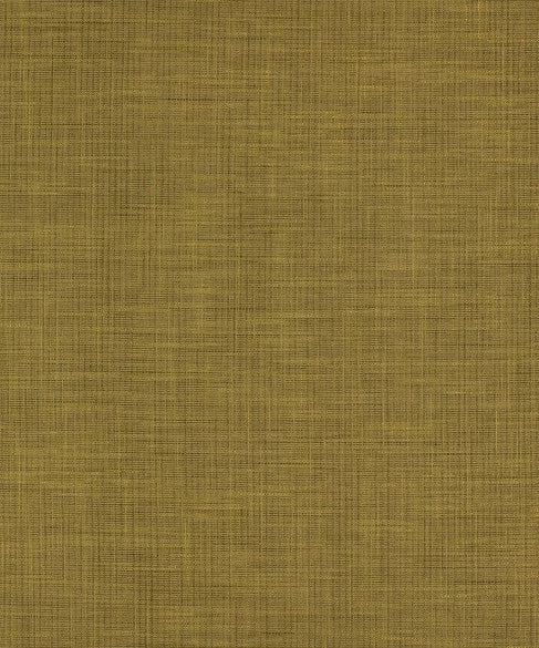 M9281 5784 by Barrow  Designer Fabric Barrow Gallery 56% Rayon (S), 23% Polyester (F), 21% Cotton China 75,000 Double Rubs </p><p>Repeat: Horizontal:  and Vertical:  58"  - Swanky Fabrics -