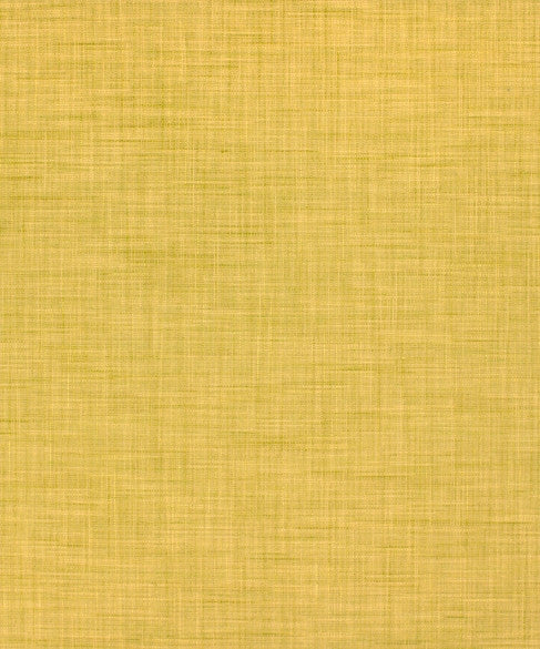 M9281 5361 by Barrow  Designer Fabric Barrow Gallery 56% Rayon (S), 23% Polyester (F), 21% Cotton China 75,000 Double Rubs </p><p>Repeat: Horizontal:  and Vertical:  58"  - Swanky Fabrics -