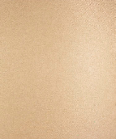Planetree Flaxen M9582  by Barrow Industries Fabric  14C02 Casual Living Multi-Color Textures  100% POLYESTER FILAMENT NON-TEXTURED   China -  H: N/A V: N/A  54 inches minimum (See sample for specs)  - Fabric Carolina -  Barrow Industries