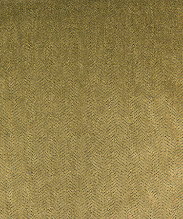 Tuliptree Fern M9588 by Barrow Industries Fabric 14C01 Casual Living Plus 100% POLYESTER China - H: N/A V: N/A 6638 inches minimum (See sample for specs) - Fabric Carolina - Barrow Industries