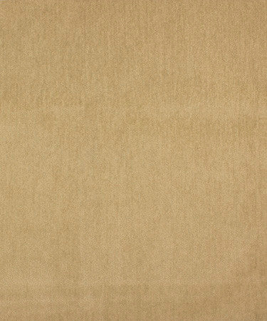 Basswood Parchment M9589  by Barrow Industries Fabric  14C01 Casual Living Plus  100% POLYESTER  China -  H: N/A V: N/A  54 inches minimum (See sample for specs)  - Fabric Carolina -  Barrow Industries
