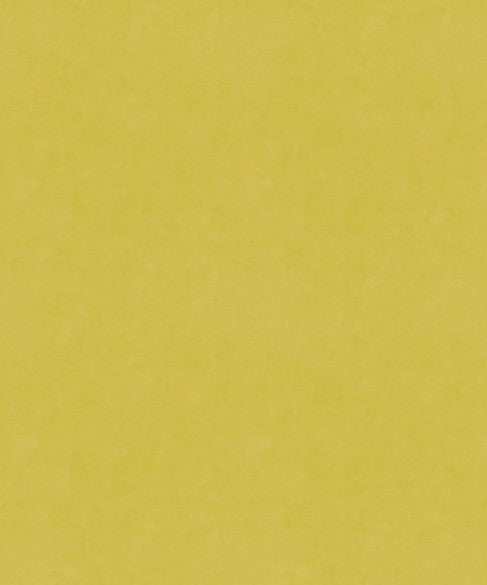 Counterpoint 51205 by Barrow  Fabric Barrow Gallery 100% Polyester Knit Pile Fabric China 30,000 Double Rubs </p><p>Repeat: Horizontal:  and Vertical:  57"  - Fabric Carolina -