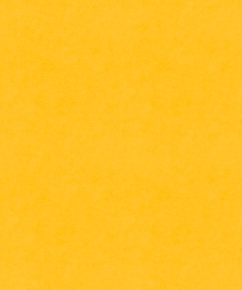 M9989 51201 by Barrow  Designer Fabric Barrow Gallery 100% Polyester Knit Pile Fabric China 30,000 Double Rubs </p><p>Repeat: Horizontal:  and Vertical:  57"  - Swanky Fabrics -