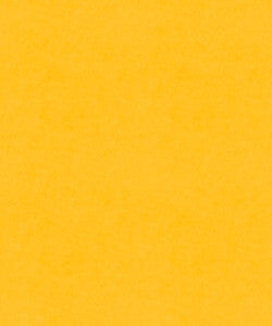 M9989 51201 By Barrow Industries Fabric