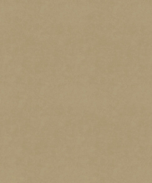 M9989 51101 by Barrow  Designer Fabric Barrow Gallery 100% Polyester Knit Pile Fabric China 30,000 Double Rubs </p><p>Repeat: Horizontal:  and Vertical:  57"  - Swanky Fabrics -