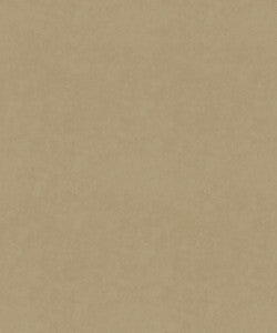 M9989 51101 By Barrow Industries Fabric
