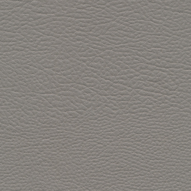 Meadowland-Nj # 953 Steel by Maxwell Designer Fabric Memos Only-Coated Fabrics FACE: 98% POLYESTER
2% SILICONE KOREA 54" - Swanky Fabrics -