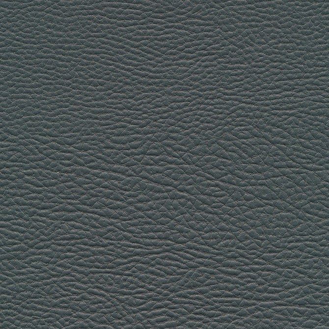 Meadowland-Nj # 959 Slate by Maxwell Designer Fabric Memos Only-Coated Fabrics FACE: 98% POLYESTER
2% SILICONE KOREA 54" - Swanky Fabrics -