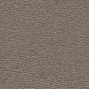 Meadowland-Nj # 960 Fox by Maxwell Fabric