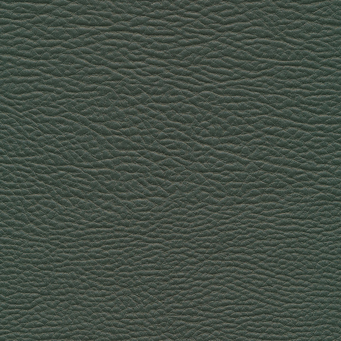 Meadowland-Nj # 964 Evergreen by Maxwell Fabric Memos Only-Coated Fabrics FACE: 98% POLYESTER
2% SILICONE KOREA 54" - Fabric Carolina -