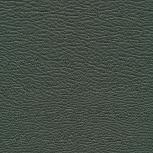 Meadowland-Nj # 964 Evergreen by Maxwell Fabric