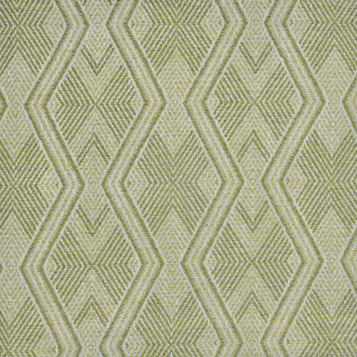 Marion # 952 Frond by Maxwell Designer Fabric Performance Wovens-Vol. Vi Peachtree 96% UV POLYESTER 4% UV RECYCLED POLYESTER USA V-7.4" H-7.1" 56" - Swanky Fabrics -