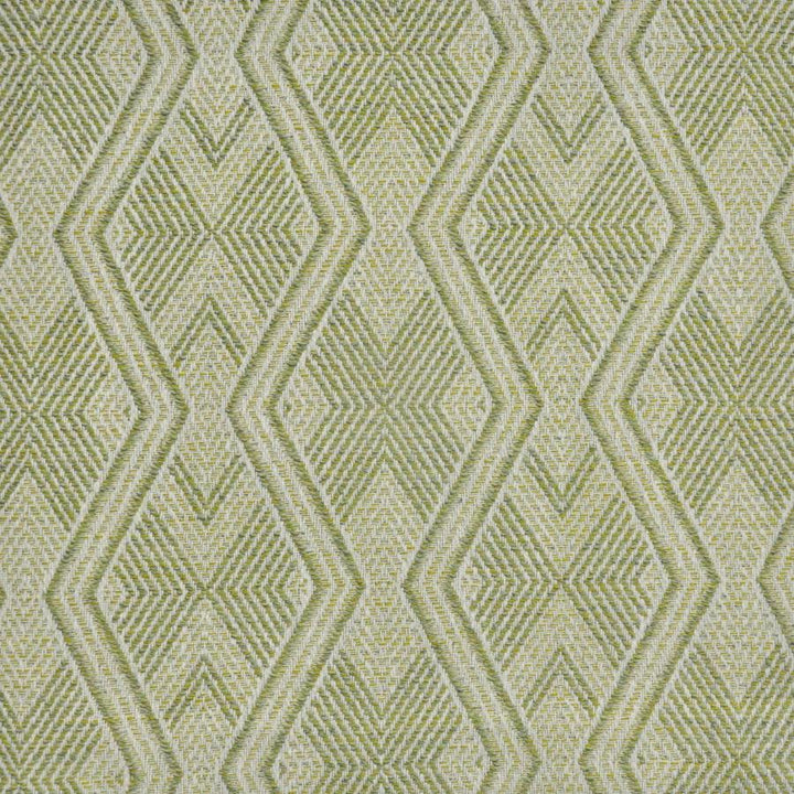 Marion # 952 Frond by Maxwell Fabric Performance Wovens-Vol. Vi Peachtree 96% UV POLYESTER 4% UV RECYCLED POLYESTER USA V-7.4" H-7.1" 56" - Fabric Carolina -