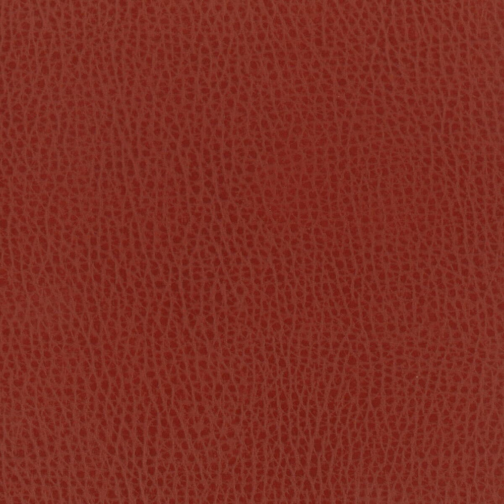 Madden 1 Spice by Stout Fabric LEATHER LOOKS II 100%OTH 9%OTH CHINA FLAME RETARDANT-U.F.A.C. CLASS 1 FLAME RETARDANT-N.F.P.A. 260A CLASS 1 CATB 117-2013 WYZENBEEK 100 000 DOUBLE RUB WEAR TEST (HEAVY DUTY) Horizontal: 0 and Vertical: 0 54 in - Fabric Carolina -