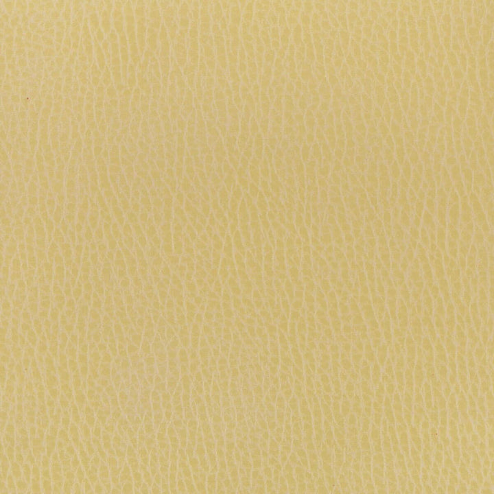 Madden 7 Buff by Stout Fabric LEATHER LOOKS II 100%OTH 9%OTH CHINA FLAME RETARDANT-U.F.A.C. CLASS 1 FLAME RETARDANT-N.F.P.A. 260A CLASS 1 CATB 117-2013 WYZENBEEK 100 000 DOUBLE RUB WEAR TEST (HEAVY DUTY) Horizontal: 0 and Vertical: 0 54 in - Fabric Carolina -