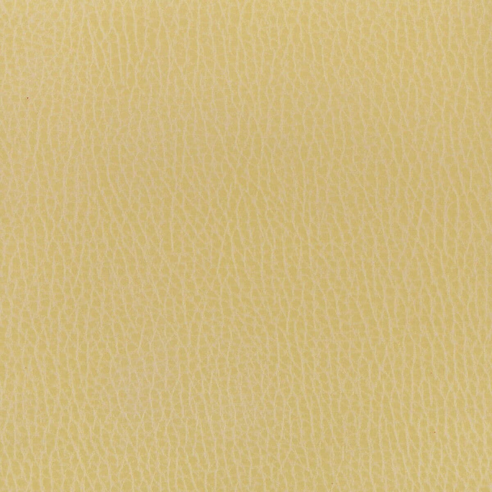 Madden 7 Buff by Stout Fabric Leather Looks Ii 100% Other 9% Other CHINA FLAME RETARDANT-U.F.A.C. CLASS 1 (OR A) FLAME RETARDANT-N.F.P.A. 260A CLASS 1 CATB 117-2013 WYZENBEEK 100 000 DOUBLE RUB WEAR TEST (HEAVY DUTY) Horizontal: 0 and Vertical: 0 54 in - Fabric Carolina -