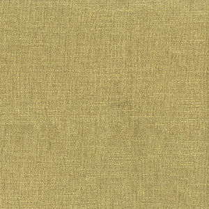Conductor 205 Lichen by ABBEYSHEA Fabric