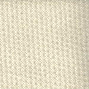 Magical Ivory by Norbar Fabric See Sample 100% POLYESTER INDIA 30,000 WYZENBEEK 54 - Fabric Carolina -