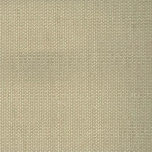 Magical Oatmeal by Norbar Fabric See Sample 100% POLYESTER INDIA 30,000 WYZENBEEK 54 - Fabric Carolina -