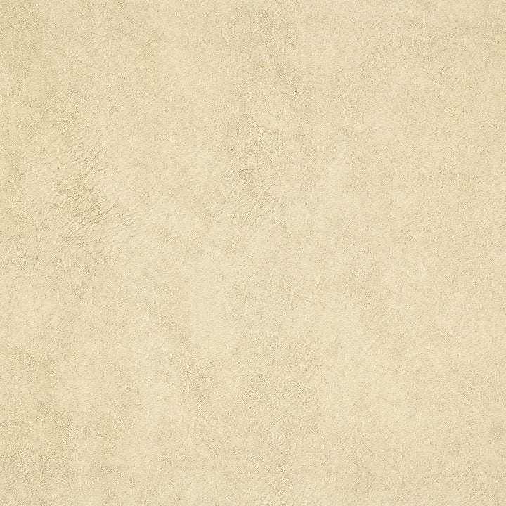 Maine 1 Chamois by Stout Fabric COMFORTABLE LIVING FAWN/SHELL 100%POL CHINA WYZENBEEK 51 000 DOUBLE RUB WEAR TEST (HEAVY DUTY) Horizontal: 0 and Vertical: 0 54 in - Fabric Carolina -