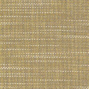 Majesty Biscotti 3 by Norbar Designer Fabric MAJESTY 100% POLYESTER INDIA 54 - Swanky Fabrics -