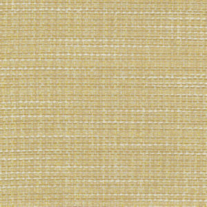 Majesty Sugar Cookie 15 by Norbar Fabric MAJESTY 100% POLYESTER INDIA 54 - Fabric Carolina -